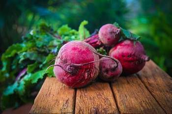 Treating Goiter with Beets